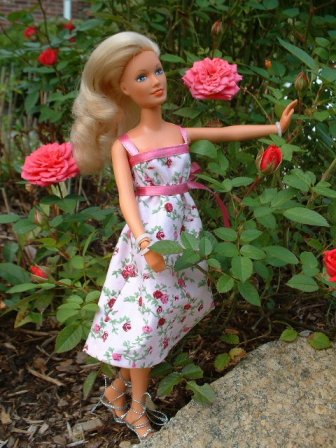 Darci - 1970's/1980's