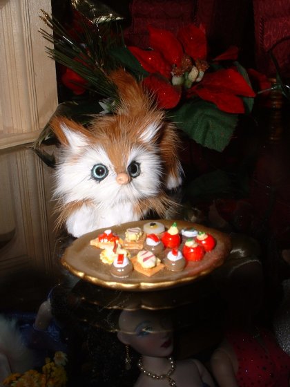 Tiny Kitty